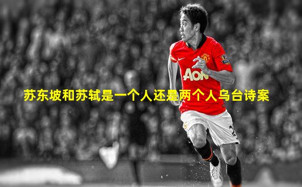 苏东坡和苏轼是一个人还是两个人乌台诗案