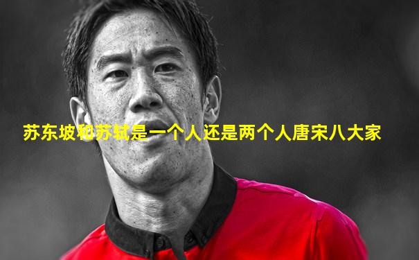 苏东坡和苏轼是一个人还是两个人唐宋八大家