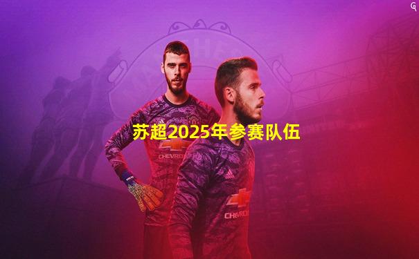 苏超2025年参赛队伍