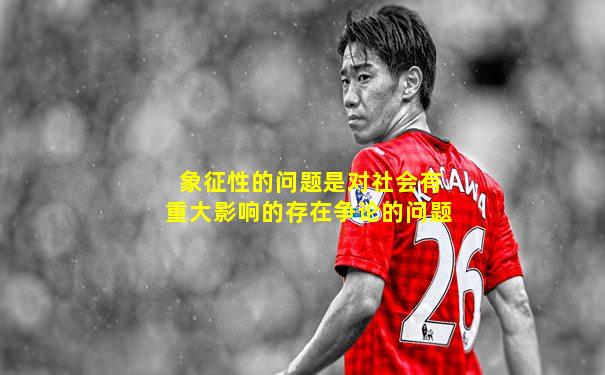 象征性的问题是对社会有重大影响的存在争论的问题