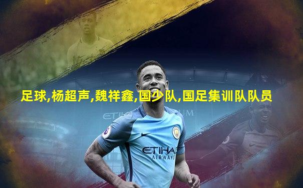 足球,杨超声,魏祥鑫,国少队,国足集训队队员