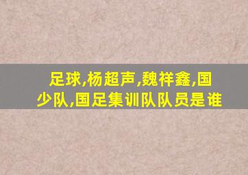 足球,杨超声,魏祥鑫,国少队,国足集训队队员是谁