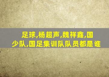 足球,杨超声,魏祥鑫,国少队,国足集训队队员都是谁