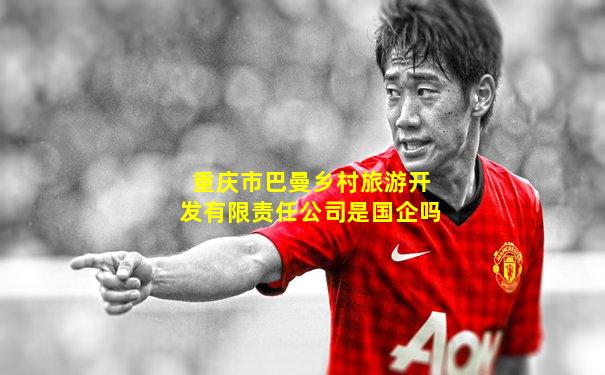 重庆市巴曼乡村旅游开发有限责任公司是国企吗