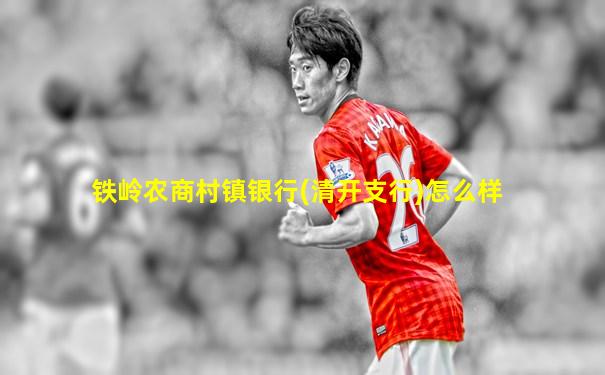 铁岭农商村镇银行(清开支行)怎么样