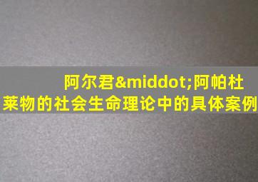 阿尔君·阿帕杜莱物的社会生命理论中的具体案例