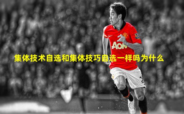 集体技术自选和集体技巧自选一样吗为什么