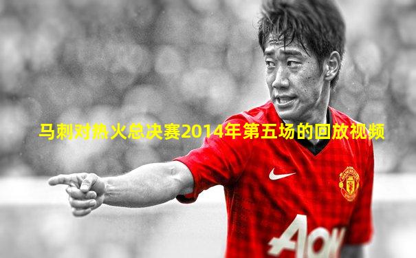 马刺对热火总决赛2014年第五场的回放视频