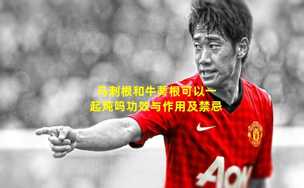 马刺根和牛蒡根可以一起炖吗功效与作用及禁忌